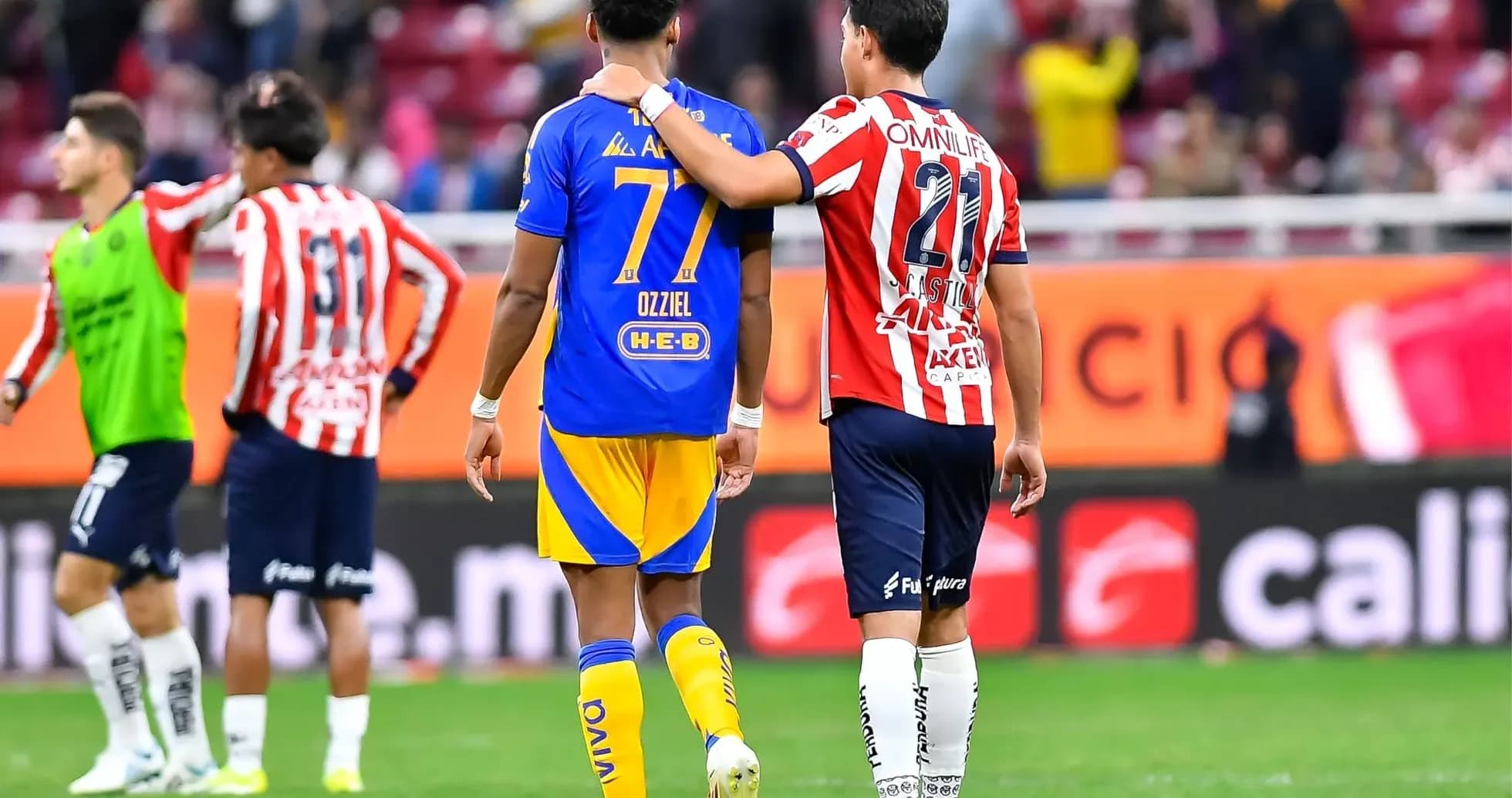 Jugadores de Chivas y Tigres en el campo