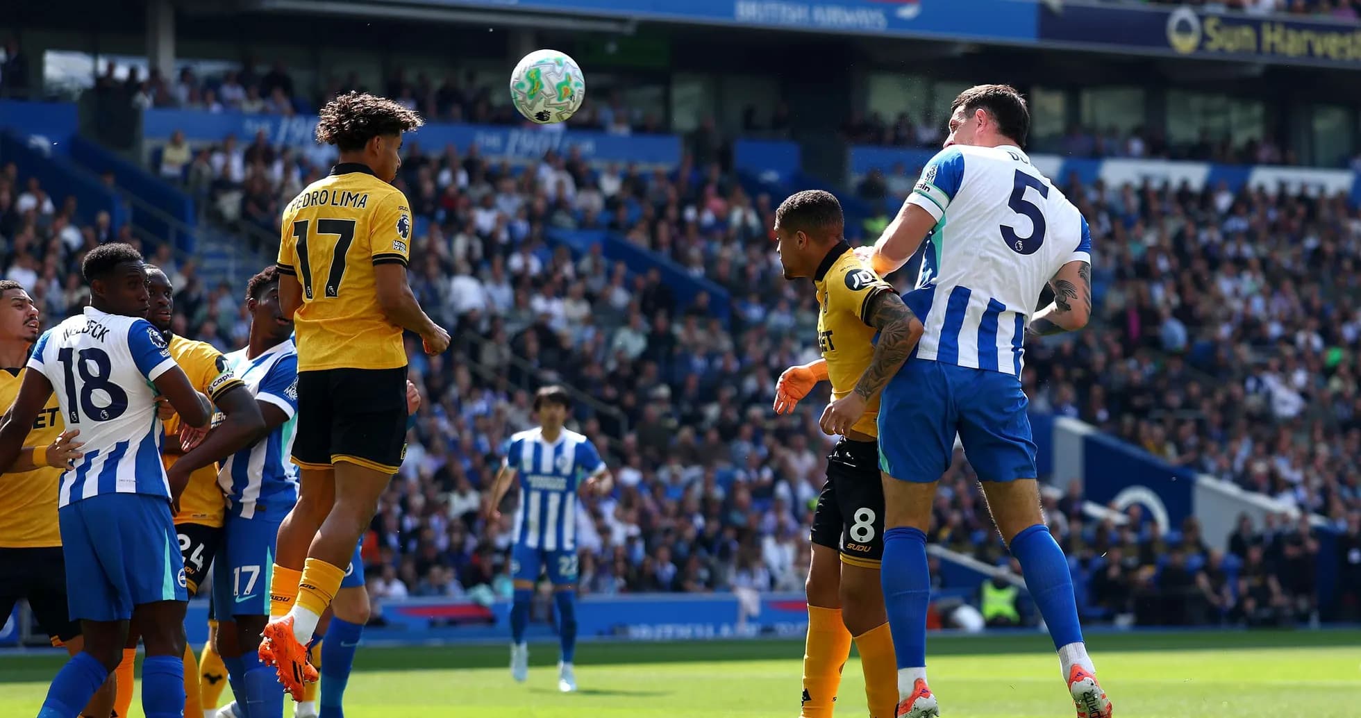 Acción de un tiro libre entre Brighton y Wolves