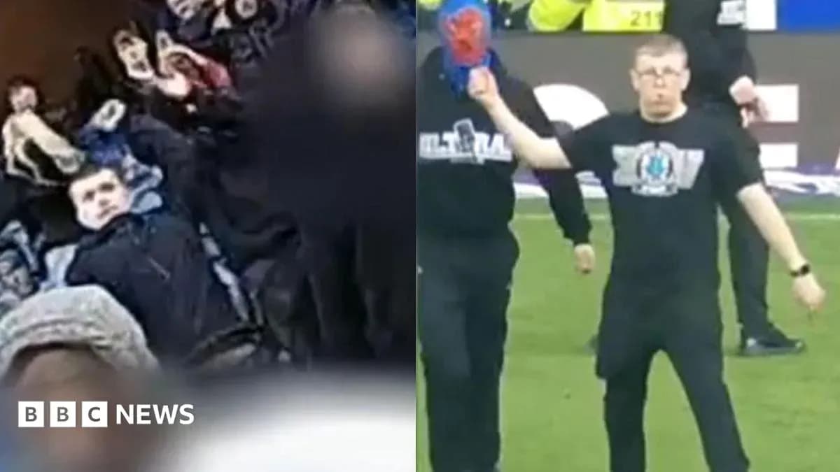 A fan celebrating and another on the pitch