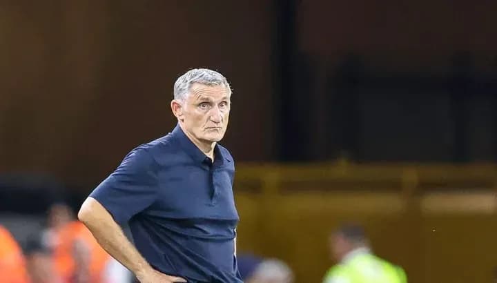 Entrenador observando el partido desde la línea lateral
