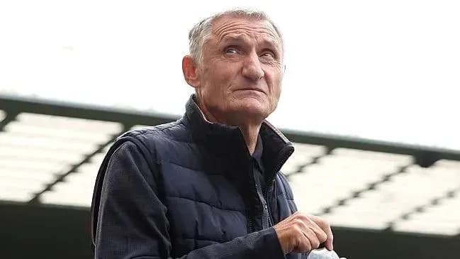 Hombre observando el campo de juego desde la grada