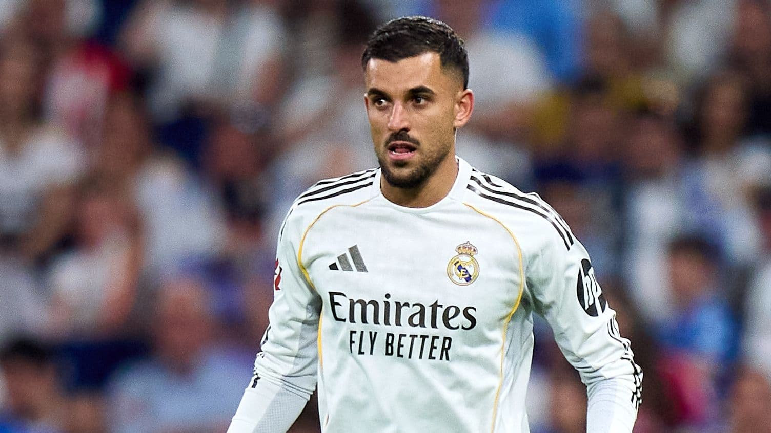 Napoli intensifica su interés por el exmediocampista del Real Madrid, Dani Ceballos Napoli intensifica su interés por el exmediocampista del Real Madrid, Dani Ceballos