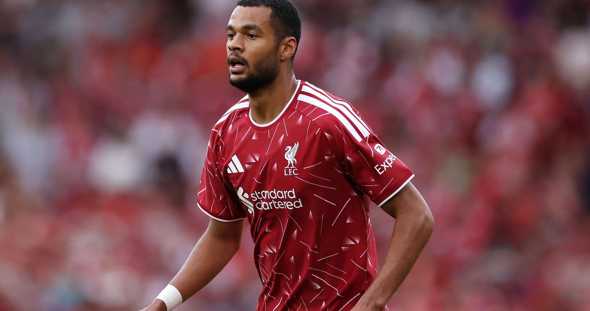 Iraola no asegura la continuidad de Gakpo mientras Liverpool avanza por Barcola Iraola no asegura la continuidad de Gakpo mientras Liverpool avanza por Barcola